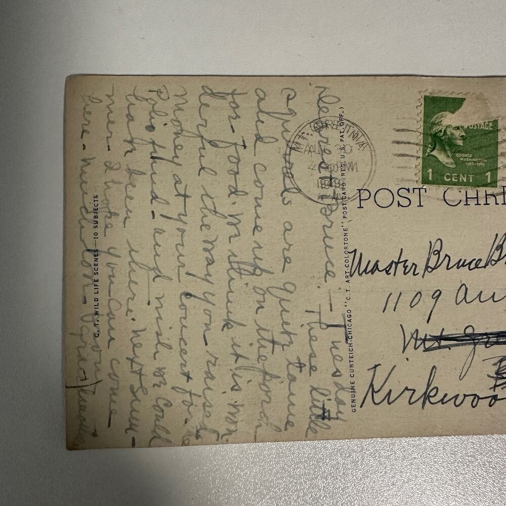 Vintage Nature Mt. Gretna PA Postcard With 2 Rare Washington 1 cent stamps - Picture 5 of 6